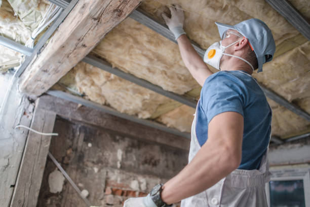 Best Spray Foam Insulation  in Ferrum, VA