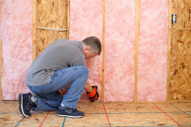 Best Commercial Insulation Contractor  in Ferrum, VA